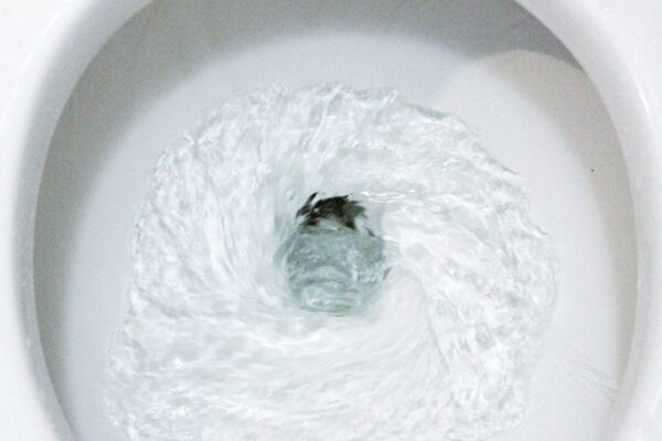 how to stop a ghost flushing toilet - Hi-Tech Plumbing and Leak Detect